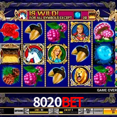 APP oficial da 8020bet para mobile